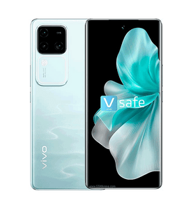 Vivo V30